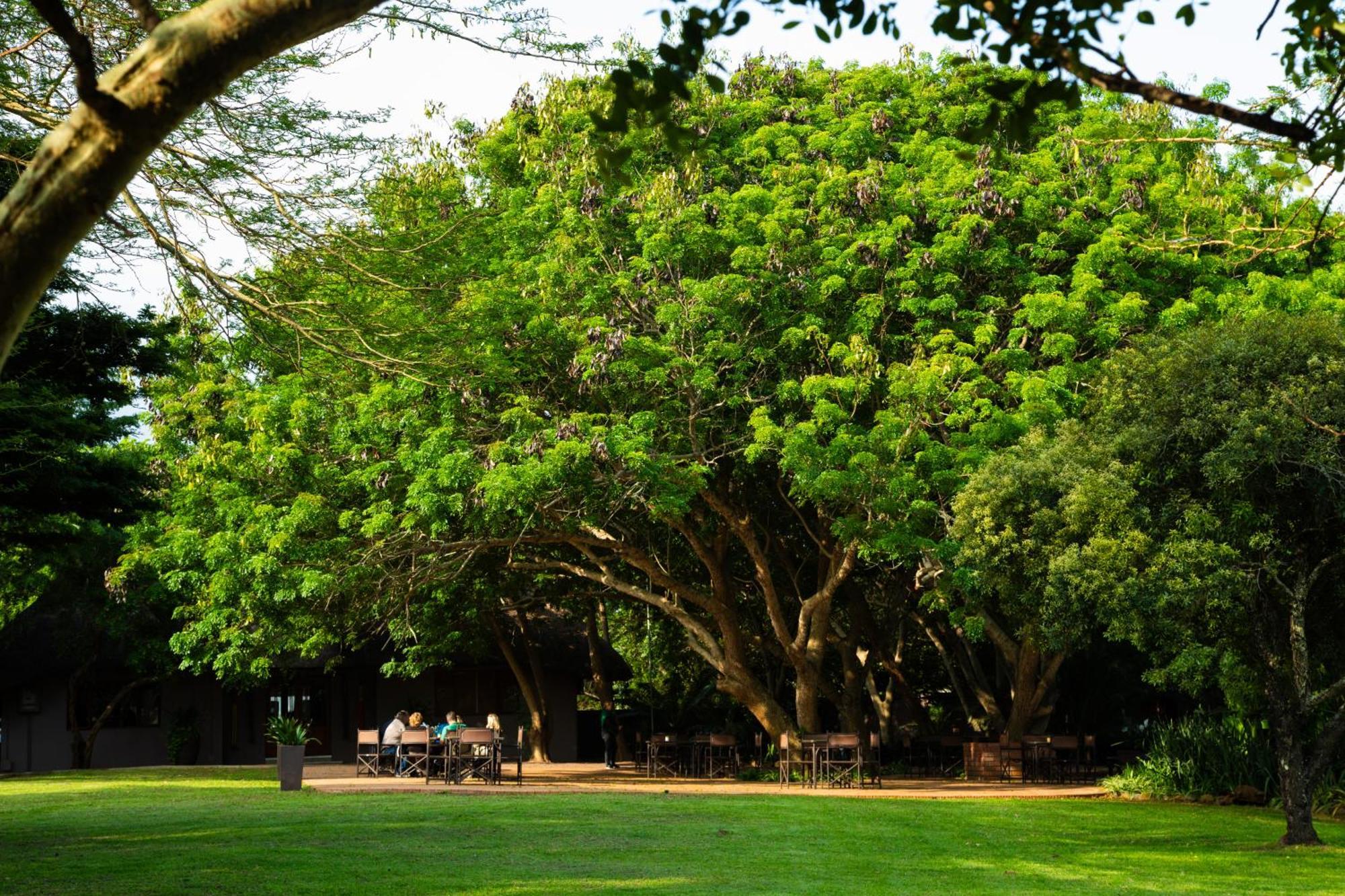 Falaza Game Park And Spa Hluhluwe Exterior photo